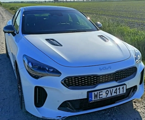 Kia Stinger cena 256000 przebieg: 15500, rok produkcji 2022 z Miłomłyn małe 172